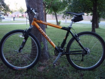 giant iguana 994.JPG