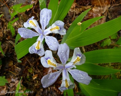 04 17 10_Point & Shoot_0036_edited-1.jpg