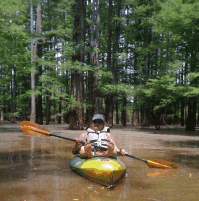 ScreenHunter_02 May. 16 07.06.gif