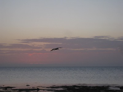 Long Key State Park 024.JPG