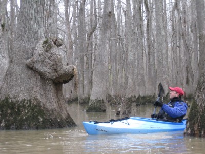 Bayou Deview (5).JPG