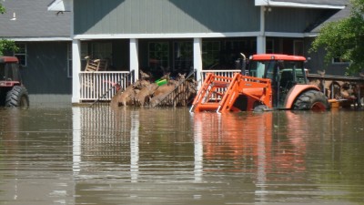 Stubbs Island Flood of 2011 039 (2).JPG