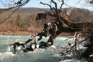 Piney Phillips Strainer 2012 IMG_5897.jpg