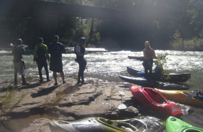 SurfinDaFrog.jpg (110.73 KiB) Viewed 745 times SurfinDaFrog.jpg