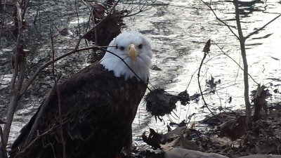 20141225_153355.jpg (934.81 KiB) Viewed 3102 times 20141225_153355.jpg