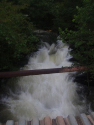 Norrell Spill way and cossatot reed bday 2009 002.jpg